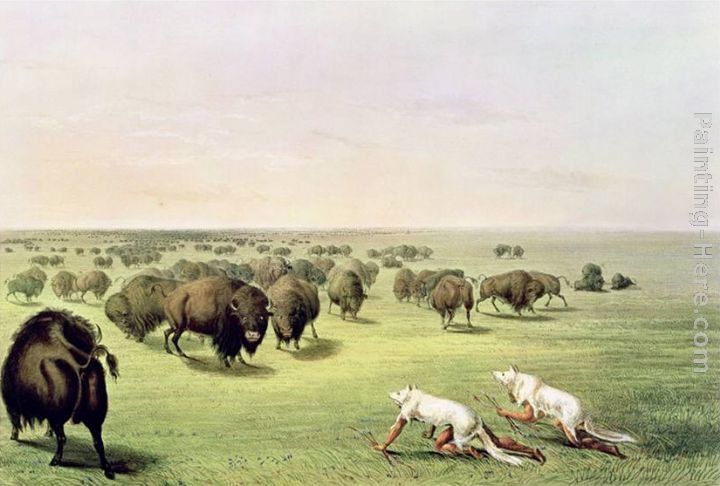 George Catlin Hunting Buffalo Camouflaged with Wolf Skins, circa 1832
